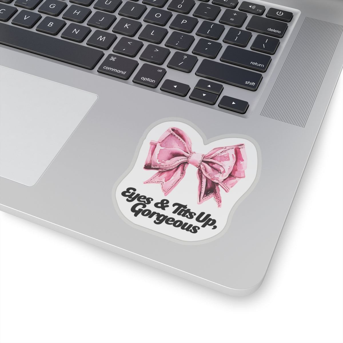 Sticker on a laptop, Sassy sticker on a laptop