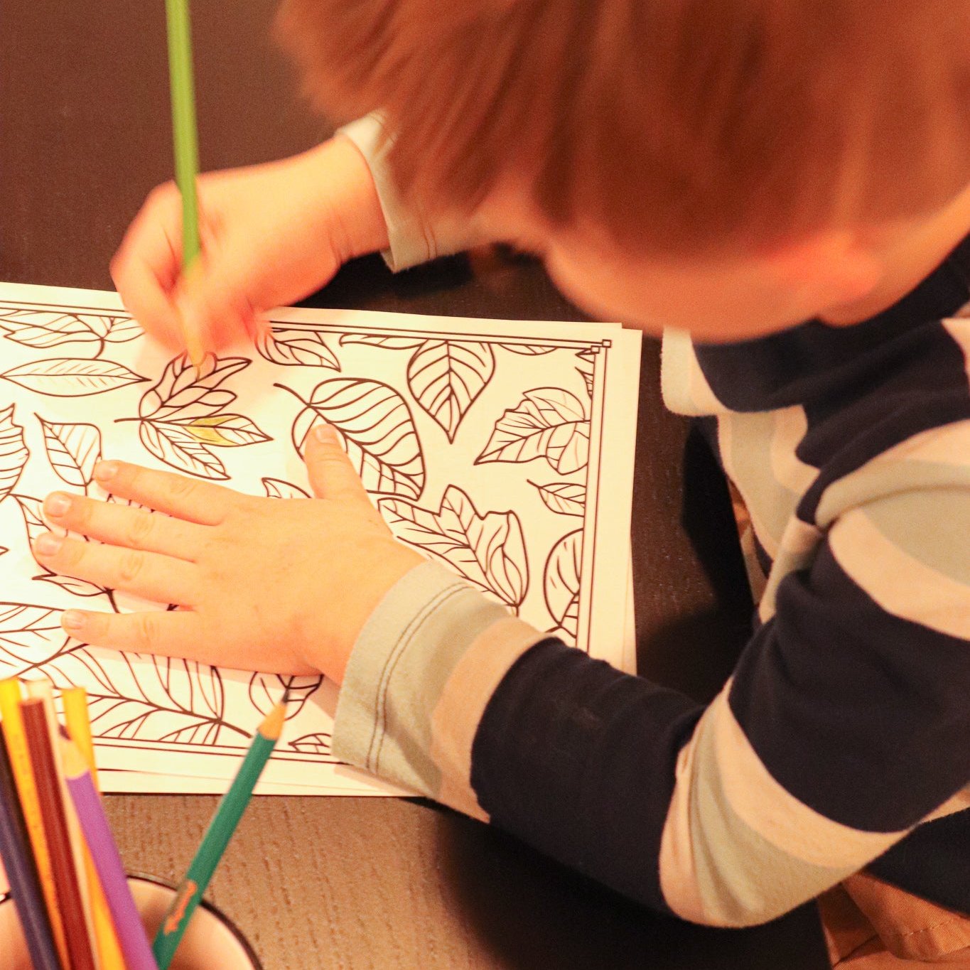 Thanksgiving Coloring Pages - Pack of 10 designs