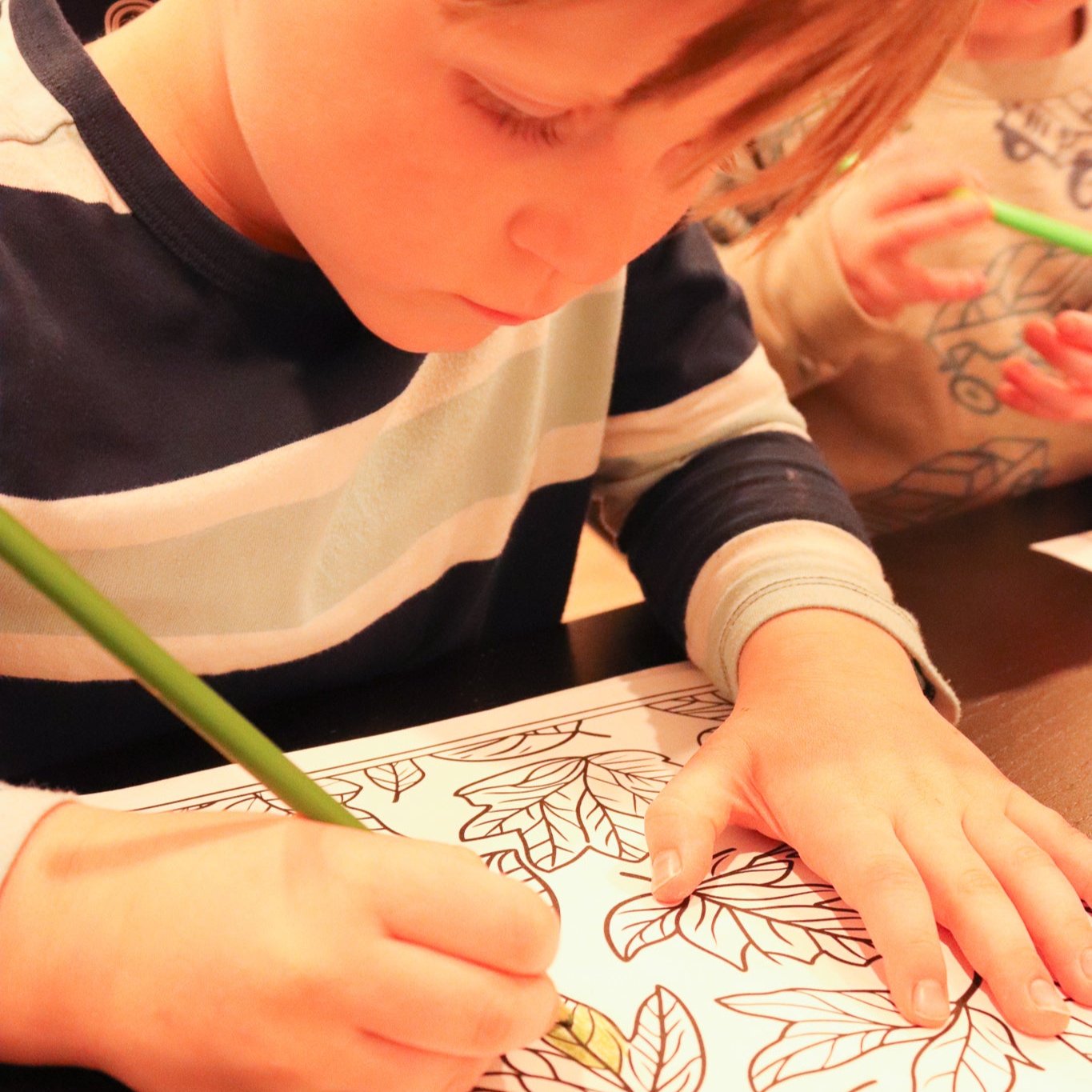 Thanksgiving Coloring Pages - Pack of 10 designs