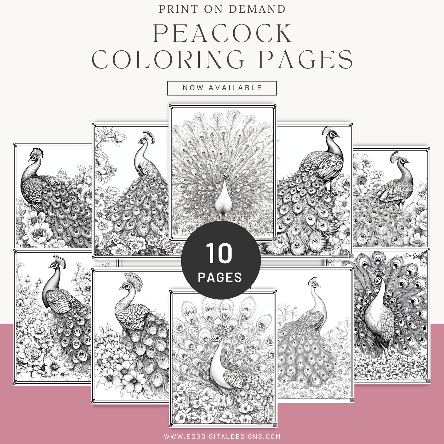 Peacock Coloring Pages - Pack of 10 designs